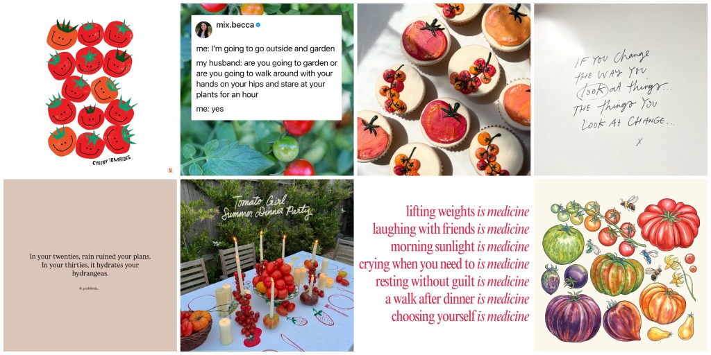 2025 Q3 | STOPPED MY SCROLL